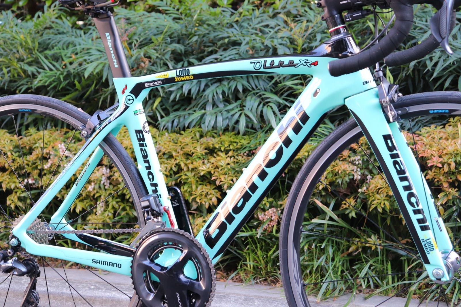 ビアンキ BIANCHI オルトレ OLTRE XR4 Lotto JUMBO 2018年 50サイズ 