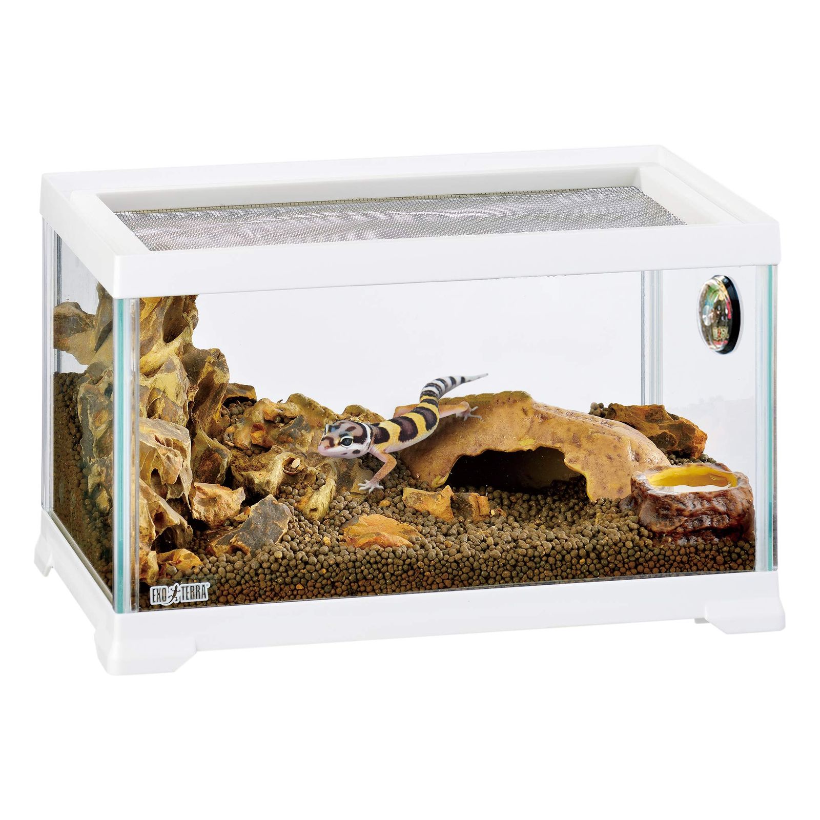 餌やり・水やり用品エキゾテラ GEX EXOTERRA レプテリアホワイト300
