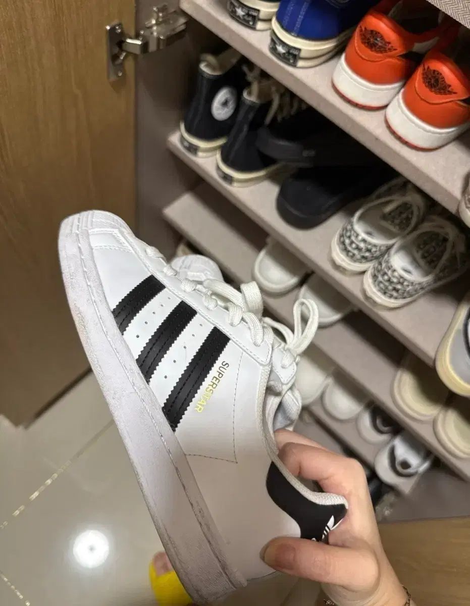 スーパースター 225