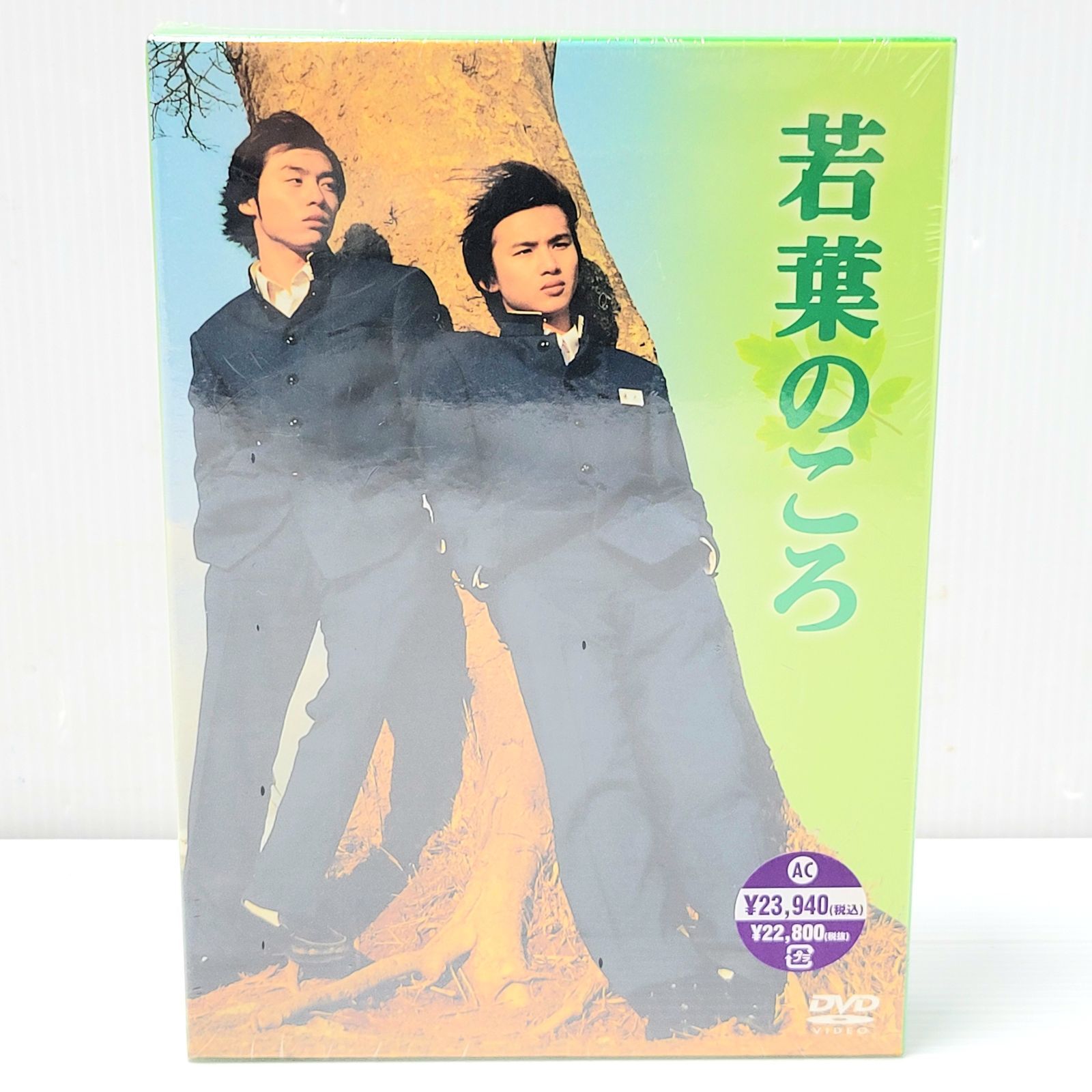 新品未開封】TBS 若葉のころ DVD-BOX 6枚組 STDS-5035 KinKi Kids