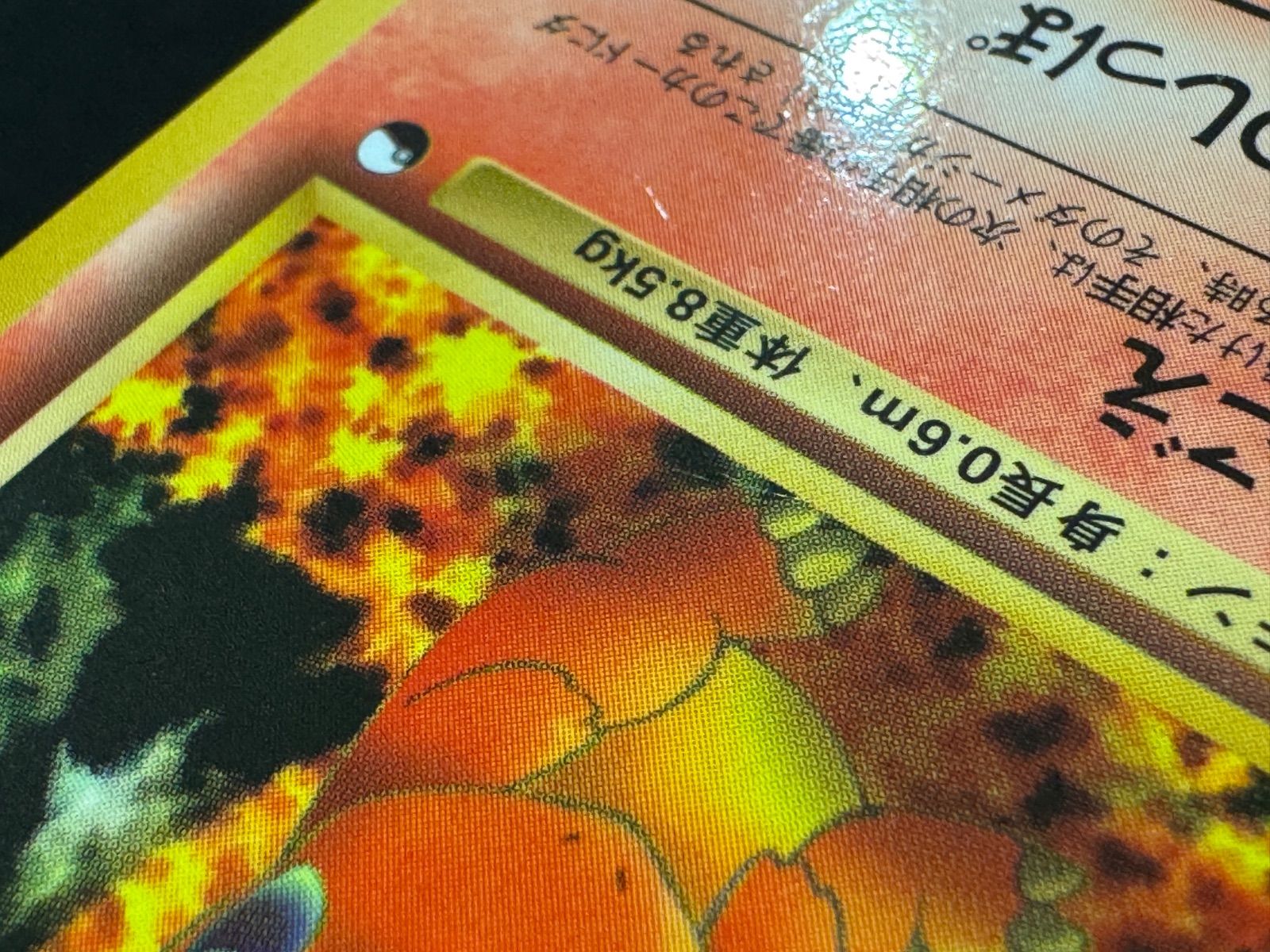 旧裏】ヒトカゲ LV.10 拡張シート第1弾 ◇ No.004 ポケモンカード