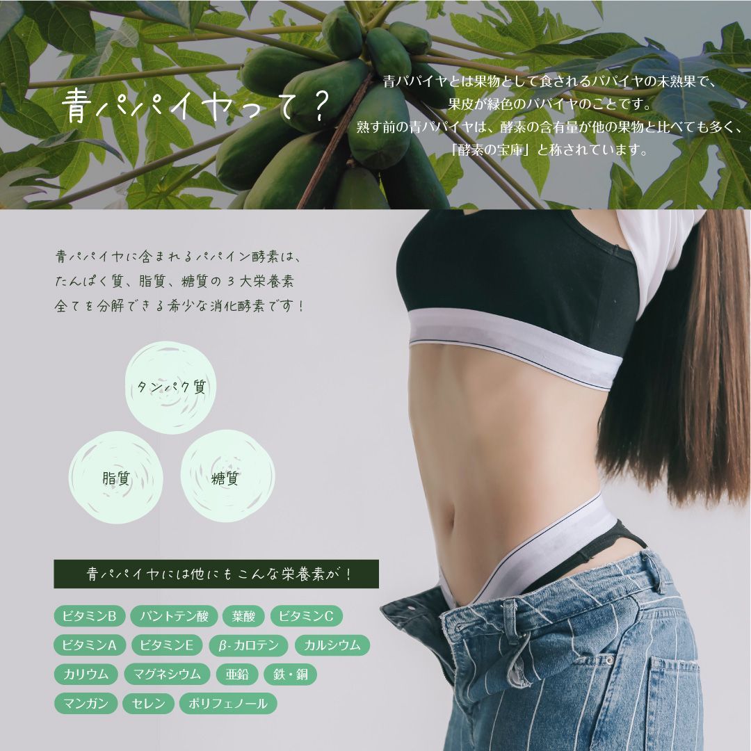 【公式】青パパイヤ酵素 顆粒タイプ 60包入り×1袋 送料無料 【公式】青パパイヤ酵素 顆粒タイプ 60包入り×1袋 送料無料