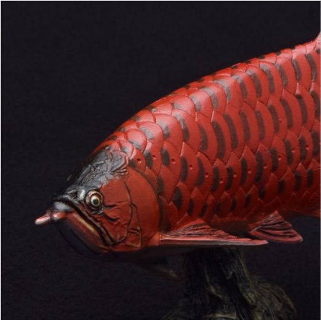 アジアアロワナ フィギュア ソフトモデルフィギュア 紅龍 古代魚 玩具