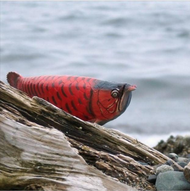 ハンドメイド　41cmアジアアロワナ　フィギュア　紅龍　熱帯魚　置物 アジアアロワナ フィギュア ソフトモデルフィギュア 紅龍 古代魚 玩具