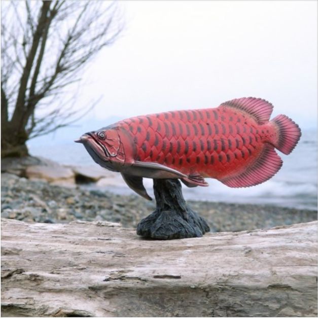アジアアロワナ フィギュア ソフトモデルフィギュア 紅龍 古代魚 玩具