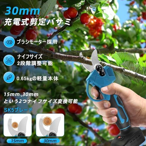 新品】高枝チェーンソー 高枝電動バサミ 充電式 電動チェーンソー 電動 