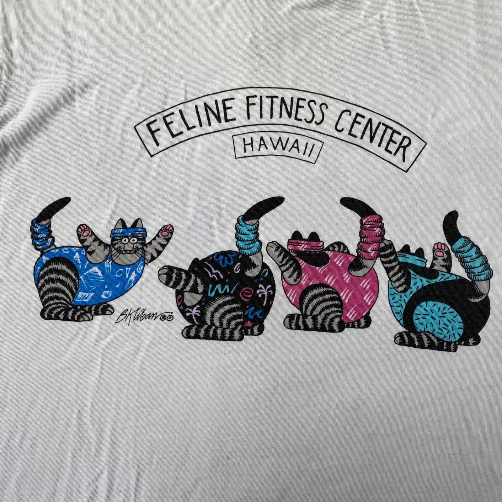 新品　紙タグ付 クレイジーシャツ　クリバンキャット シナモン染め 半袖 Tシャツ 新品 紙タグ付 クレイジーシャツ クリバンキャット シナモン染め 半袖