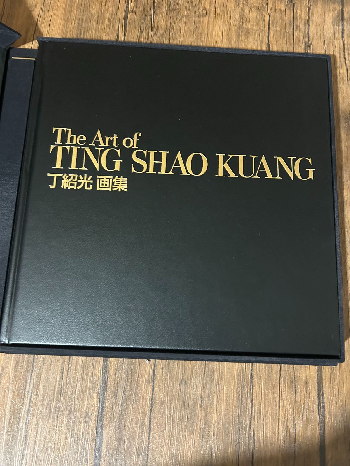 希少・豪華版】丁紹光（ティン・シャオカン）画集 The Art of TING 