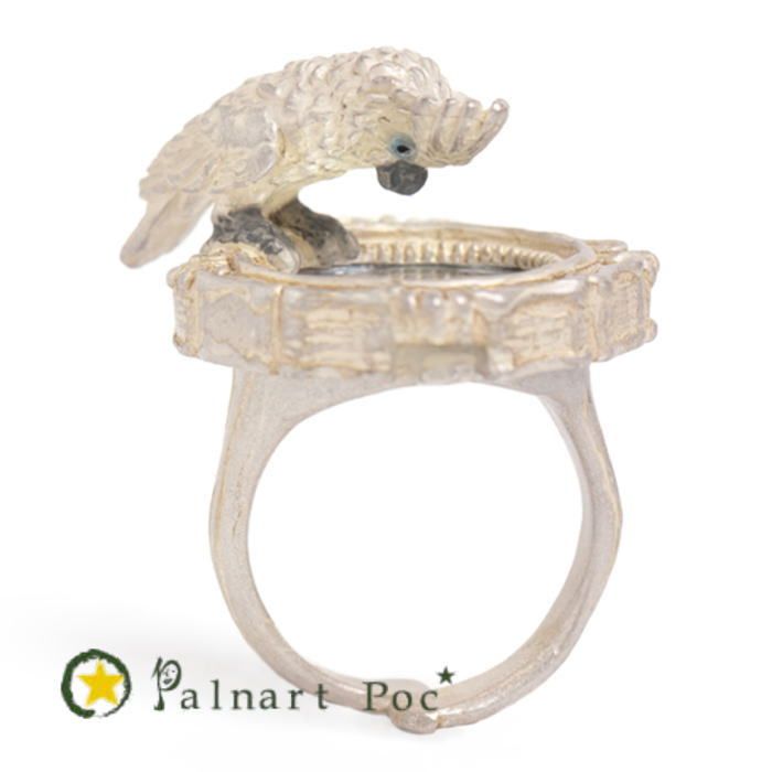 Parnart Pockling My Friend in the Mirror Parrot PalnartPOC 2603
