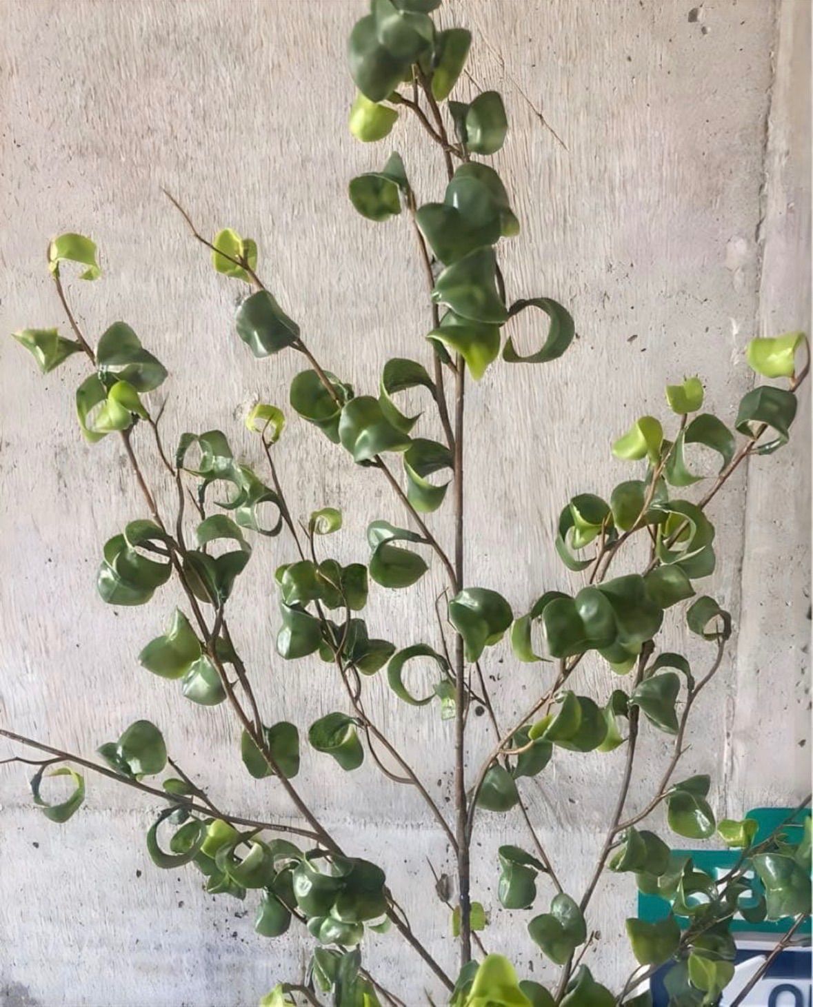 光触媒 人工観葉植物 ウォールグリーン フェイクグリーン ベンジャミン 