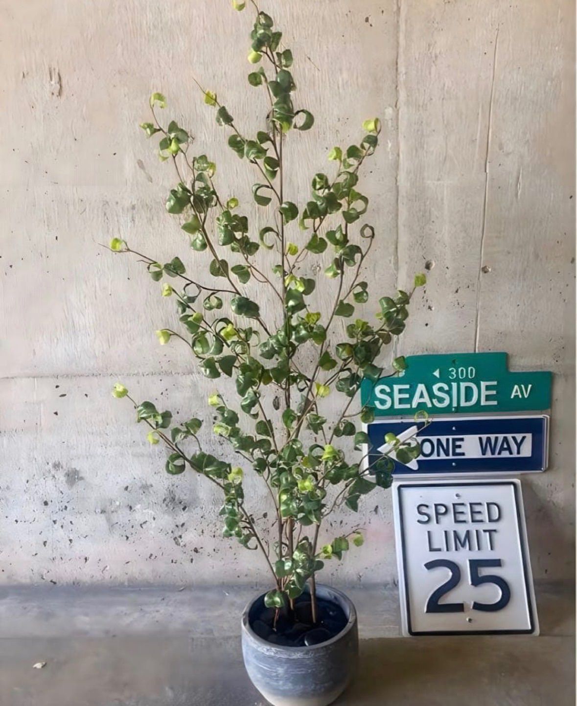 光触媒 人工観葉植物 ウォールグリーン フェイクグリーン ベンジャミン 