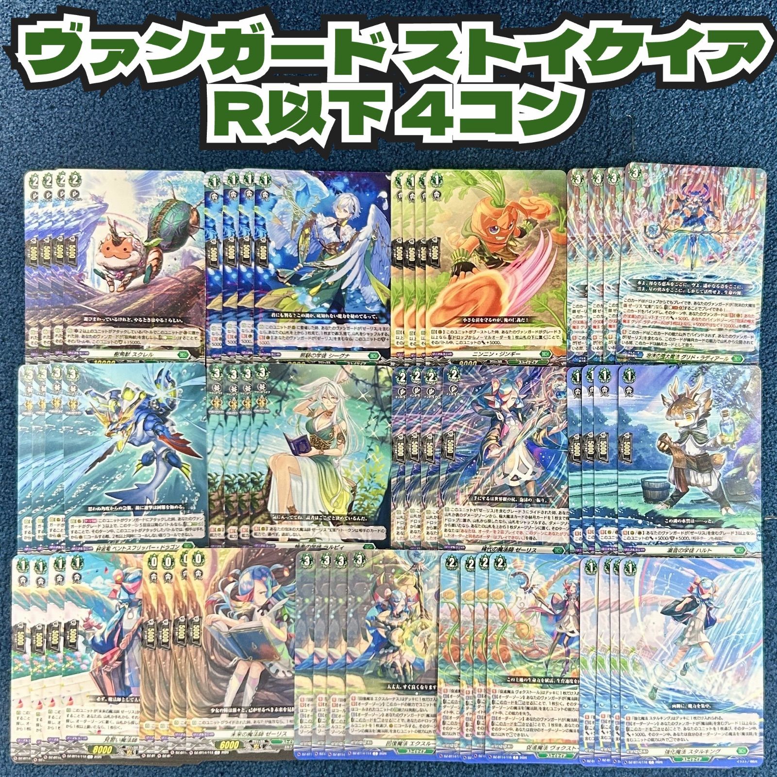 ヴァンガード ストイケイア 4コン 【公式通販】