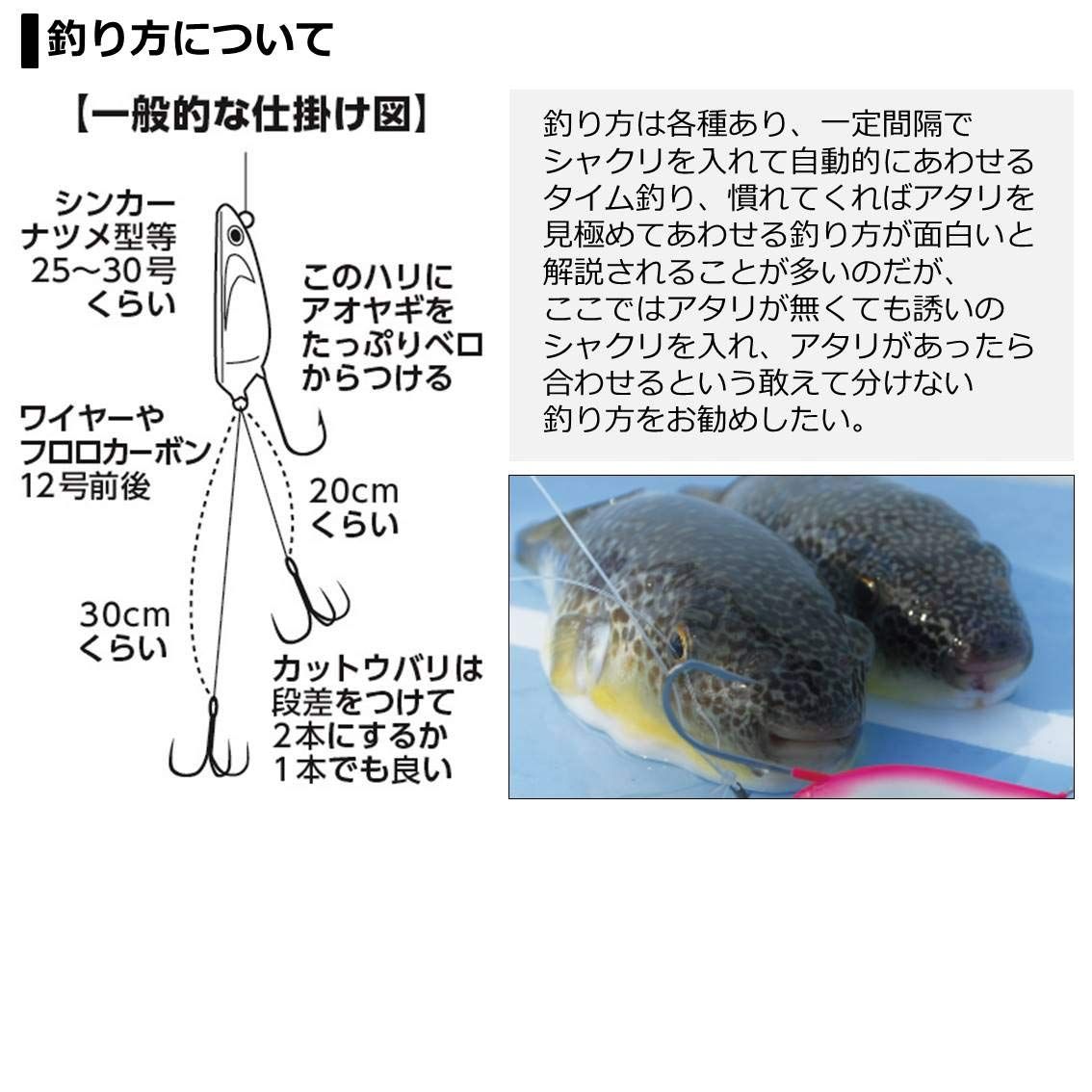 和竿 銘々 浮川作 2本継 伝統工芸品 希少 新品 紀州和竿