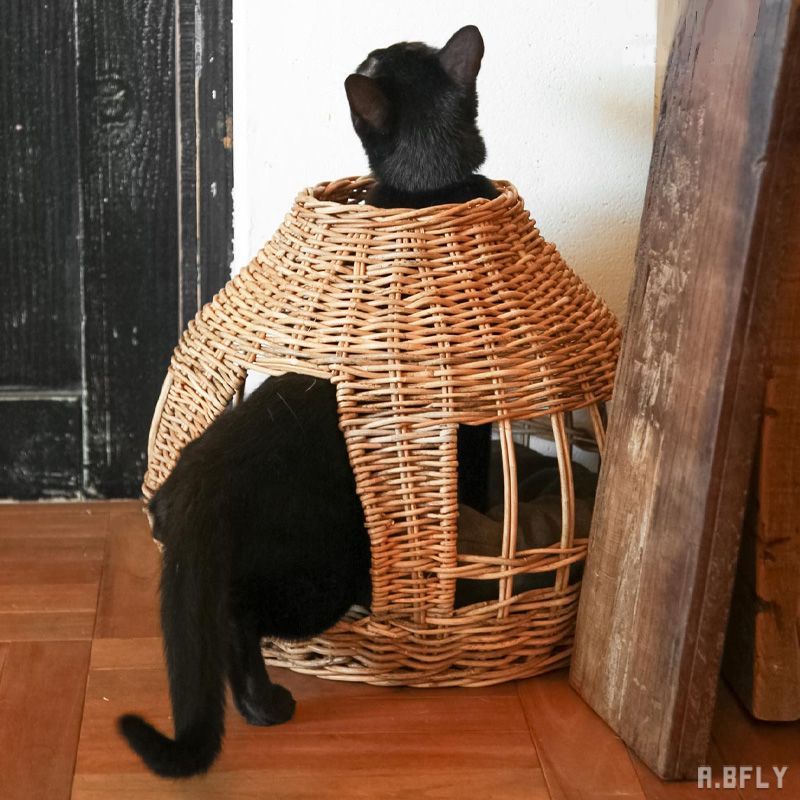 キャットハウス｜皮付き天然ラタン手編み・玉ねぎ型ユニークデザイン・丸クッション付き・覗き窓あり・ナチュラルインテリア