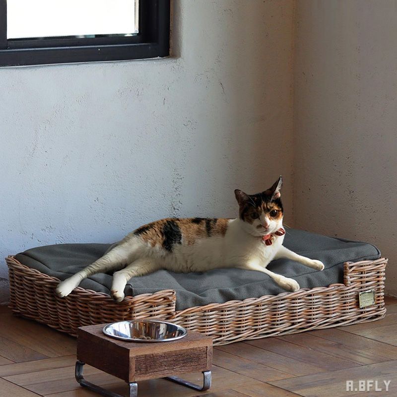 ラタンキャットベッド｜皮付き天然ラタン手編み・厚みクッション付き・猫小型犬対応・クッションカバー洗濯OK・ナチュラルインテリア