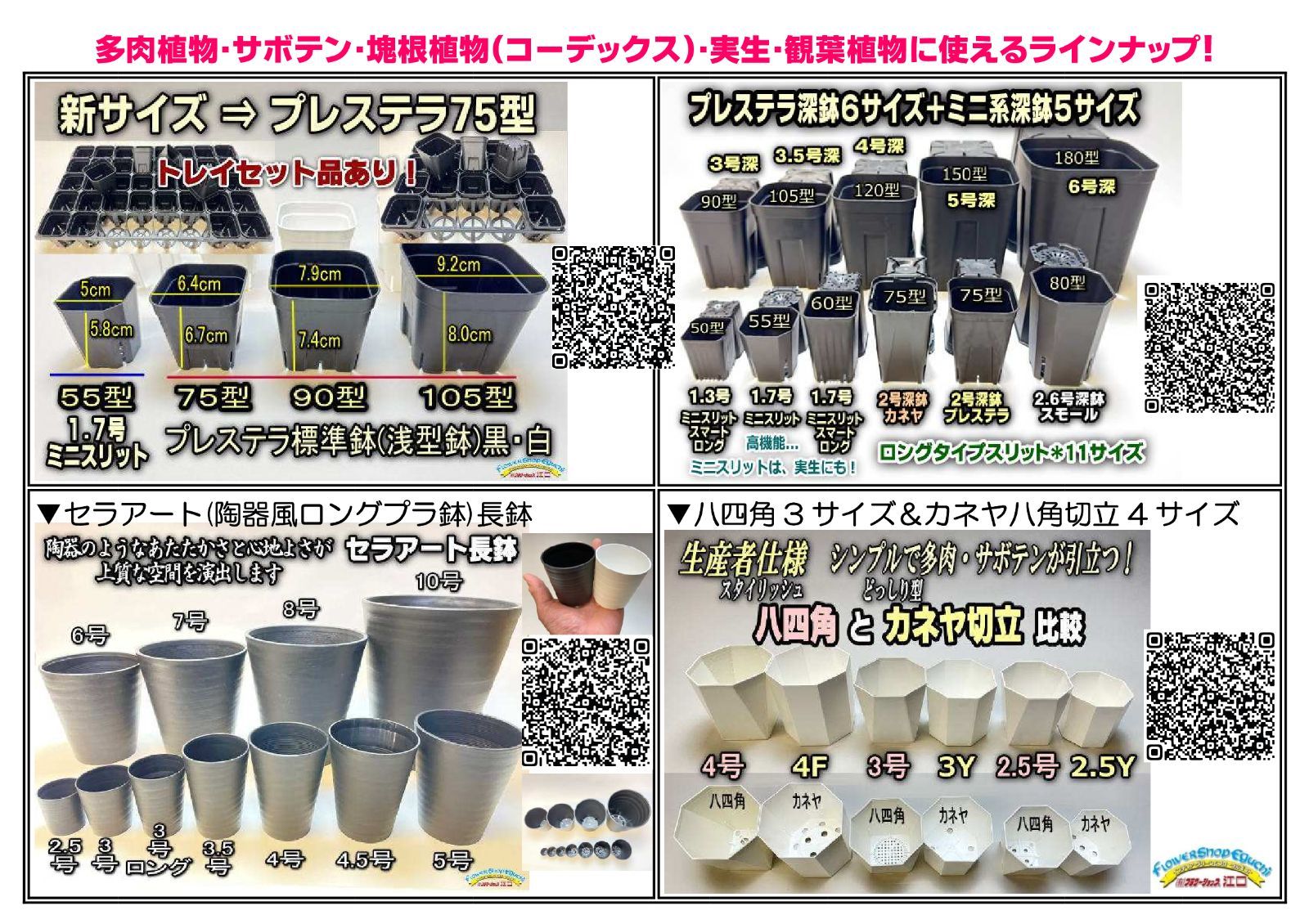 ⭐️多弁咲き⭐️5号鉢4⭐️品種４鉢セット② フラワーショップ江口Yahoo!店 セラアート平鉢・丸鉢(陶器風プラ鉢 - その他
