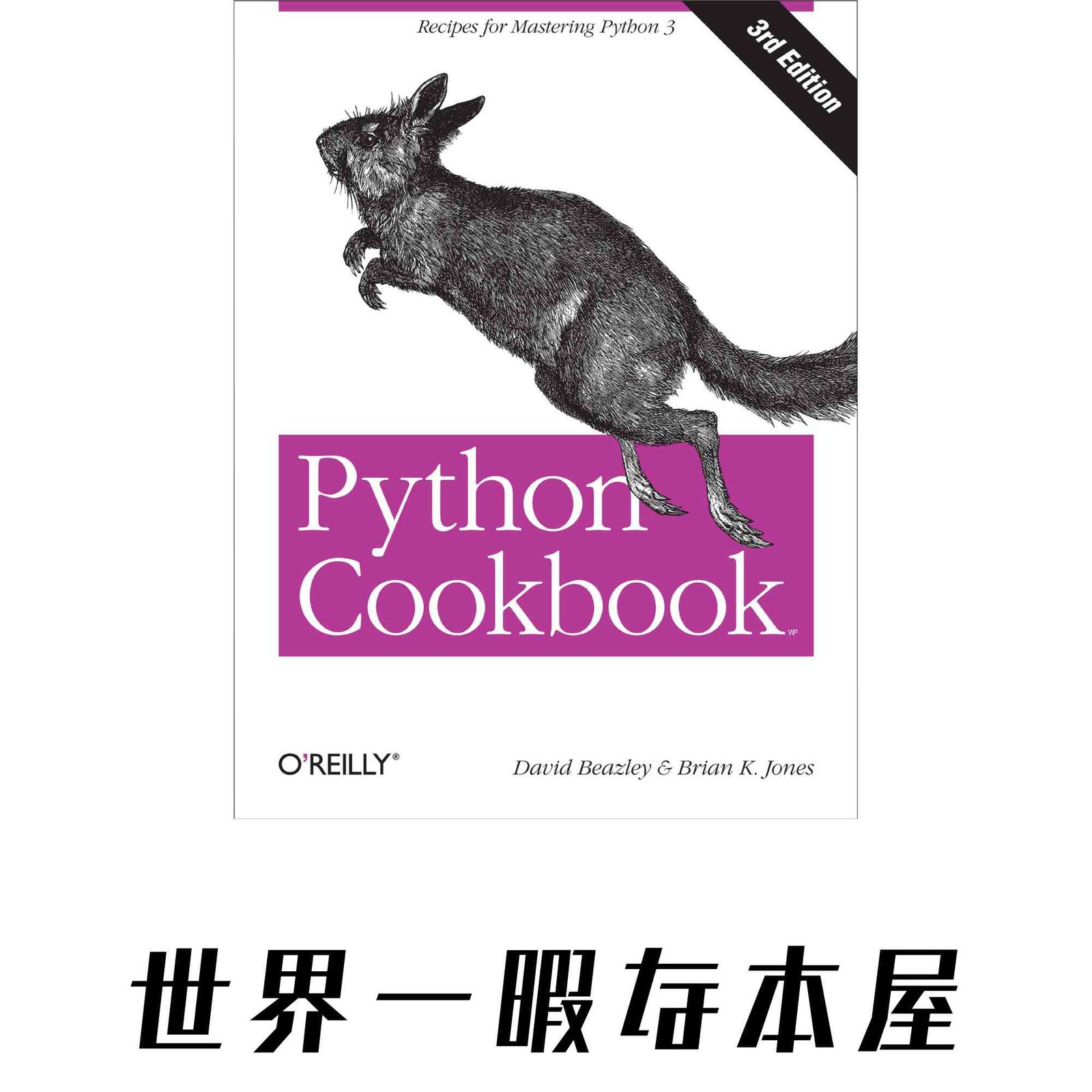Python Cookbook: Recipes for Mastering Python 3 [ペーパーバック 