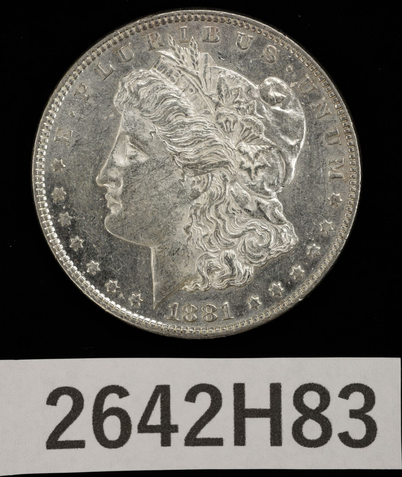 1881年 モルガン・ダラー 銀貨 査定済み 【公式通販】