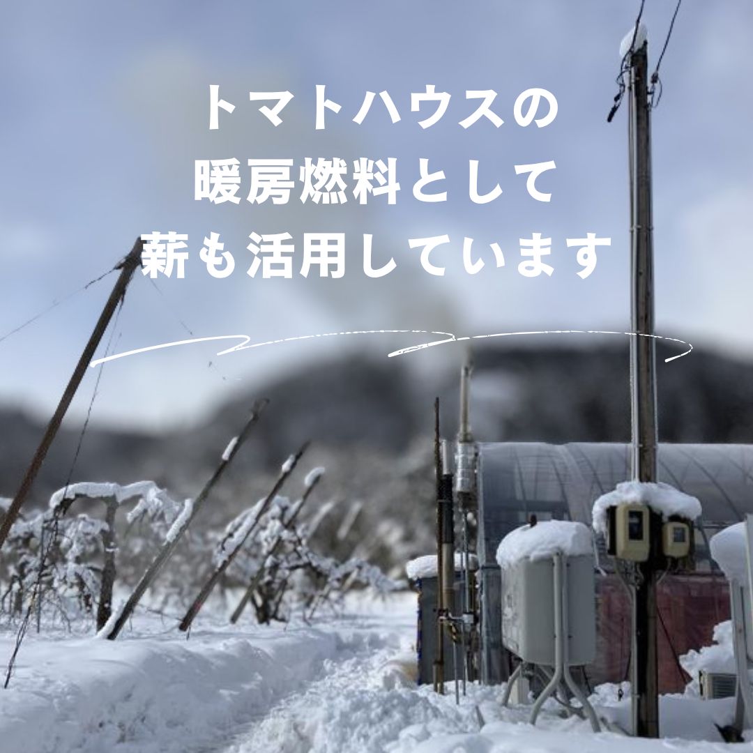 現地お引渡し限定】広葉樹 薪 自然乾燥 50kg - メルカリ