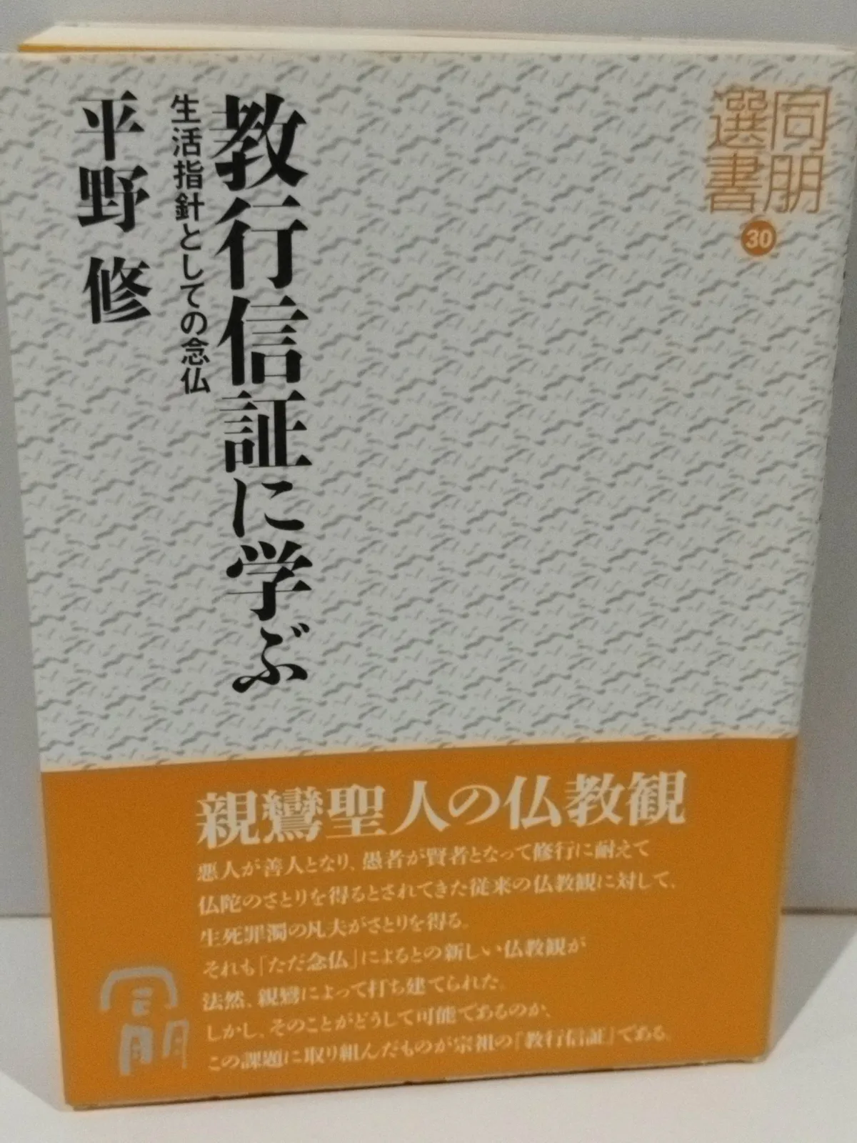 2026年最新】菩薩を生きる 入菩薩行論の人気アイテム - メルカリ