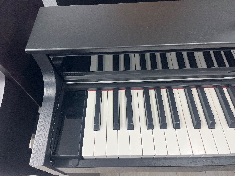 ☆86051【電子ピアノ】CASIO APS5000GP/S 24年製 - メルカリ