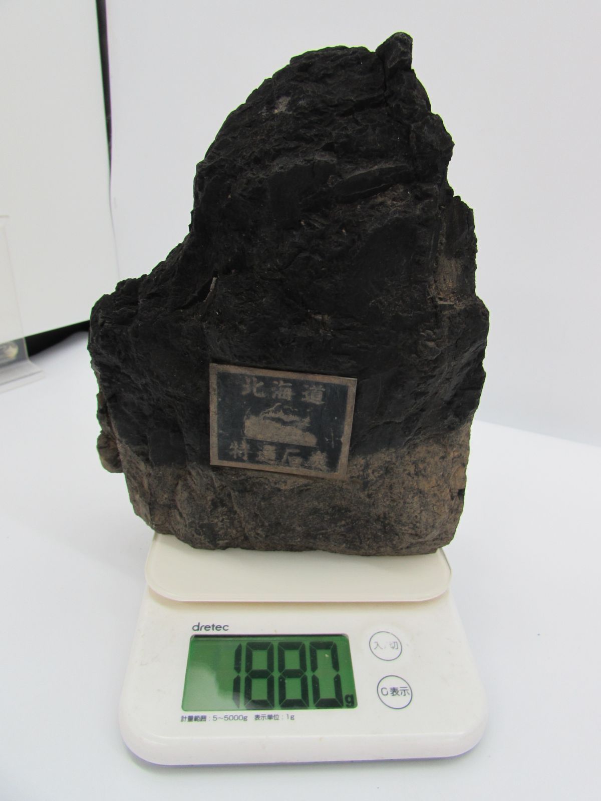 保管品 北海道 特選 石炭 鑑賞石 自然石 天然石 鉱物 鉱石 置物 