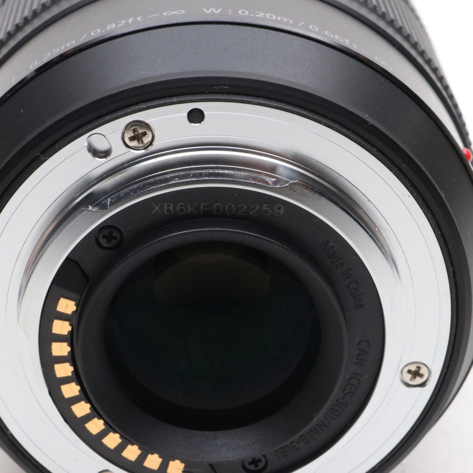 Panasonic G VARIO 12-60mm/F3.5-5.6 ASPH./POWER O.I.S H-FS12060 