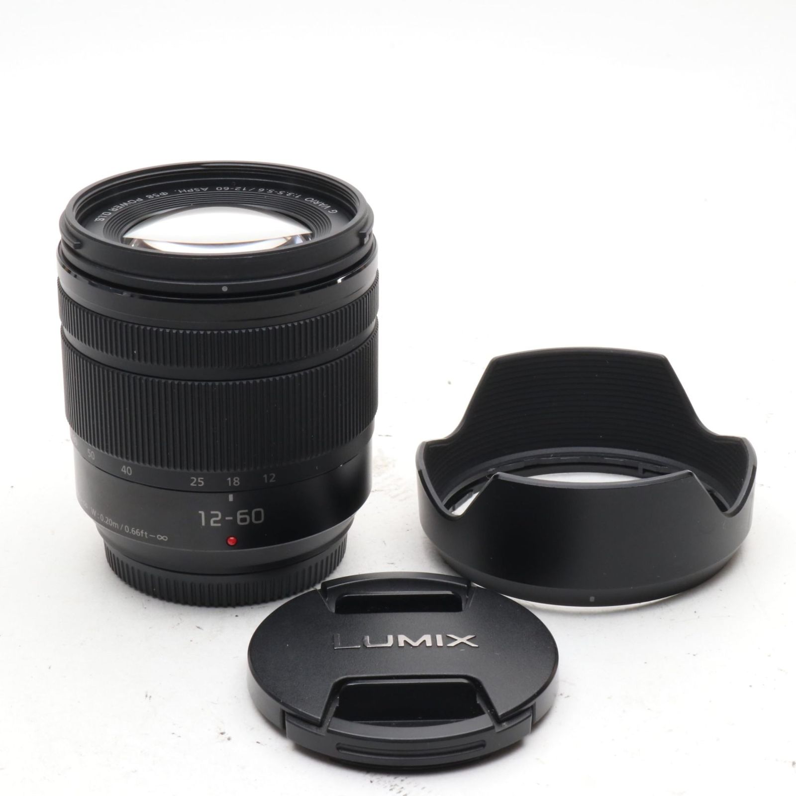 Panasonic G VARIO 12-60mm/F3.5-5.6 ASPH./POWER O.I.S H-FS12060 