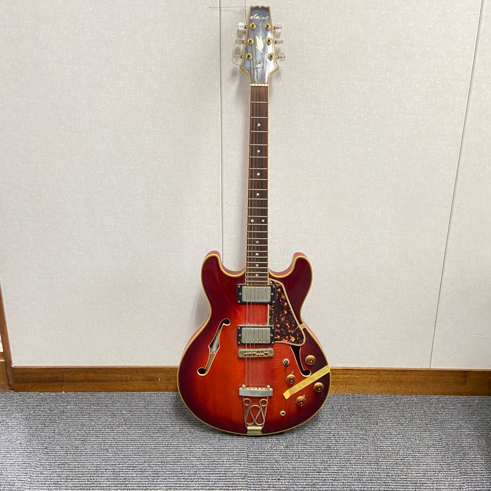 Aria Pro II TA-02 セミアコースティックギター - メルカリ