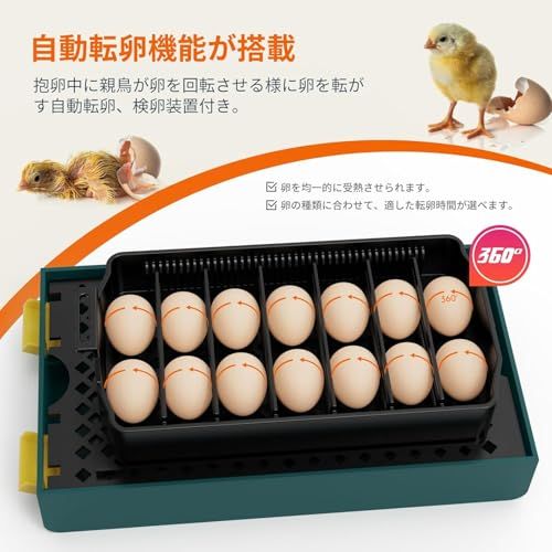 送料無料】LifeBasis自動孵卵器 インキュベーター 鳥類専用孵卵器 自動
