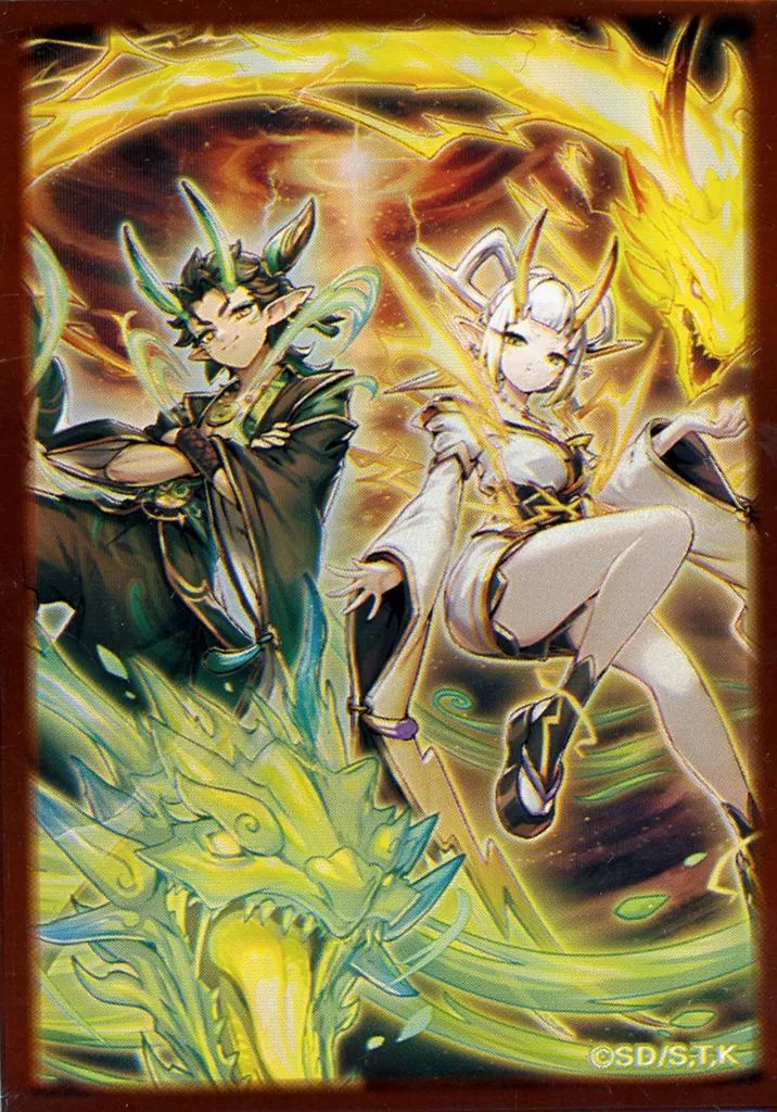 中古】サプライ 遊戯王OCG デュエルモンスターズ 特製プロテクター