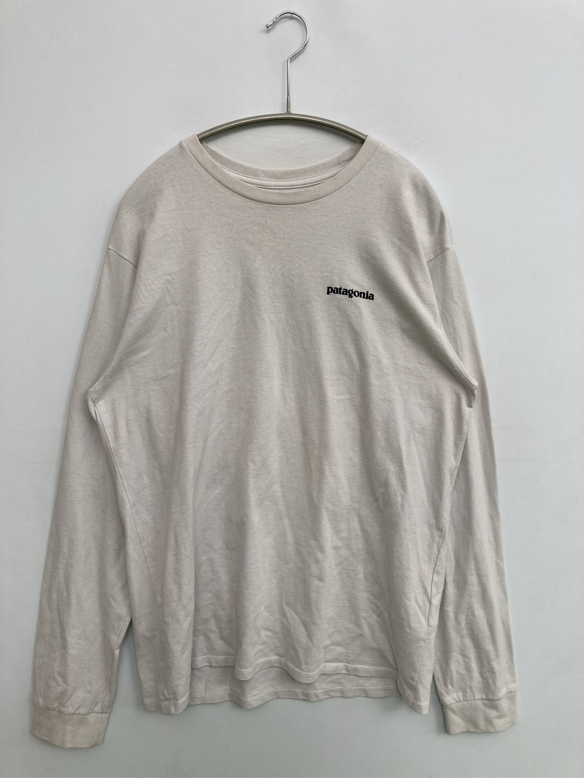 patagonia パタゴニア Tシャツ/カットソー S ベージュ 前面プリント 