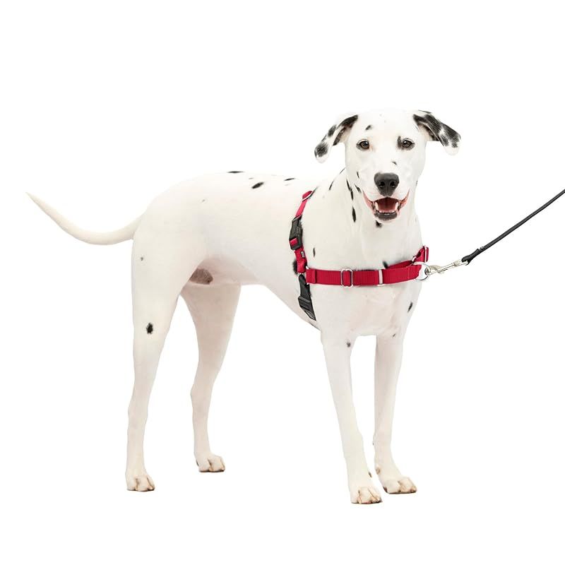 PetSafe イージーウォークハーネス (ML, レッド＆ブラック) 1