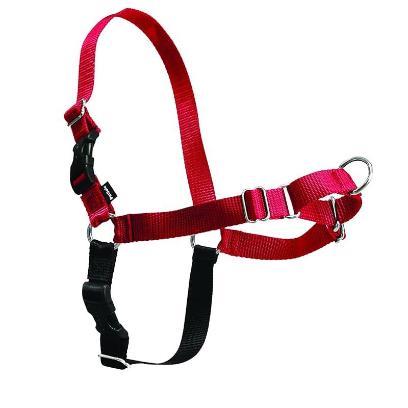 PetSafe（ペットセーフ） イージーウォークハーネス 犬用 引っ張り防止 散歩 トレーニング用ハーネス【Sサイズ レッド＆ブラック】 1