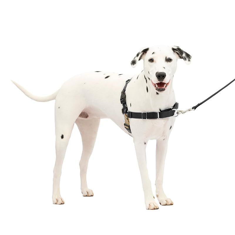 PetSafe（ペットセーフ） イージーウォークハーネス 犬用 引っ張り防止 散歩 トレーニング用ハーネス【M/Lサイズ ブラック＆シルバー】 1