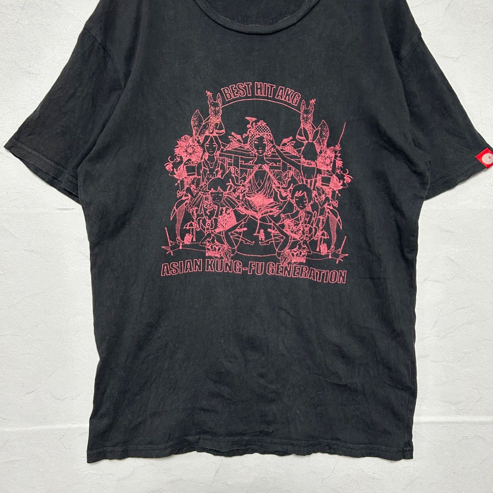 ASIAN KUNG-FU GENERATION アジカン Tシャツ BEST HIT AKG ライブ 2012