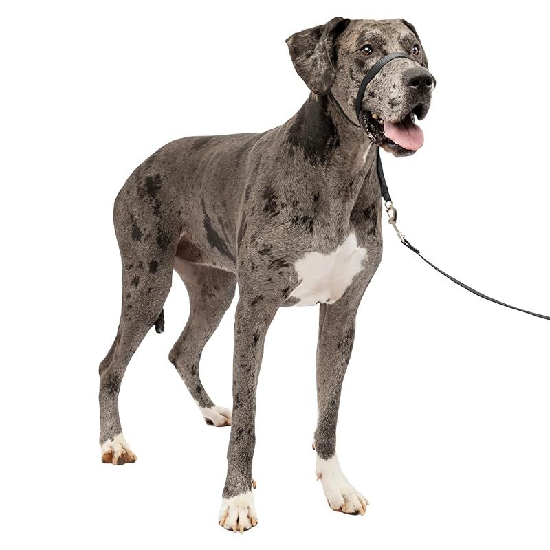 PetSafe ペットセーフ ジェントルリーダー ヘッドカラー クイックリリース（XL ブラック） 1
