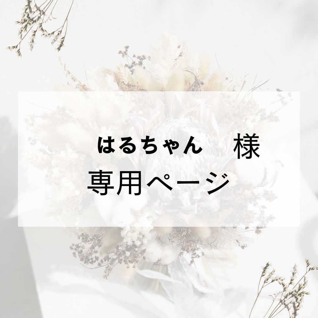 はるちゃん様専用 - メルカリ はるちゃん様専用 - メルカリ