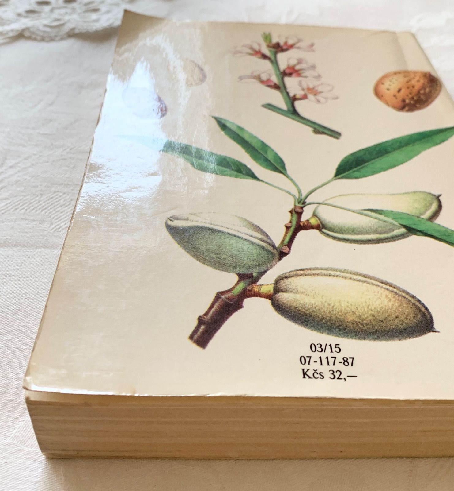 チェコの画家カレル・スヴォリンスキー挿画 古書 -絵本のよう - 1977年