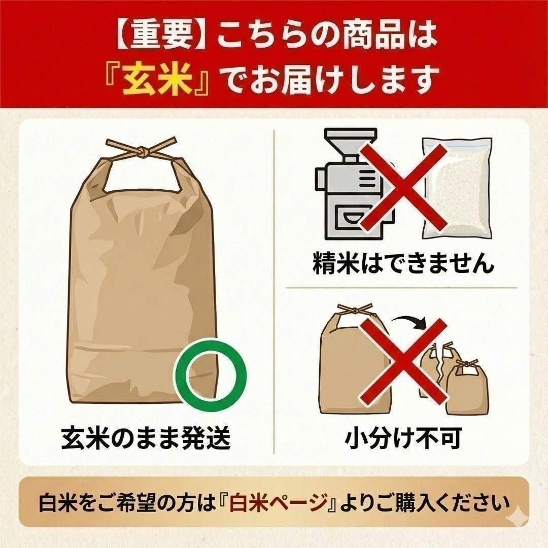 新米 令和7年度 埼玉県産 彩のきずな 玄米 30kg 1袋 お米30キロ 【公式