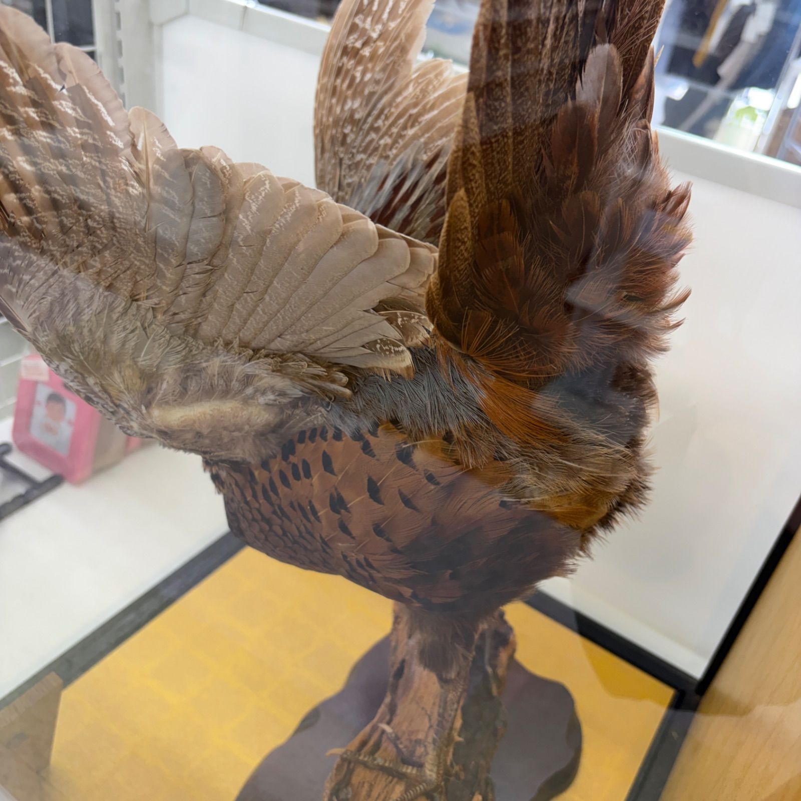 ☆リユースのサカイ東金店☆ 鷹 ハクセイ 管理260416-07 - メルカリ