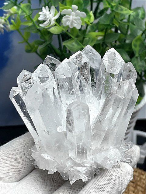九谷焼 2枚セット おひなさま 花火 九谷焼 2枚セット おひなさま 花火 【公式通販】