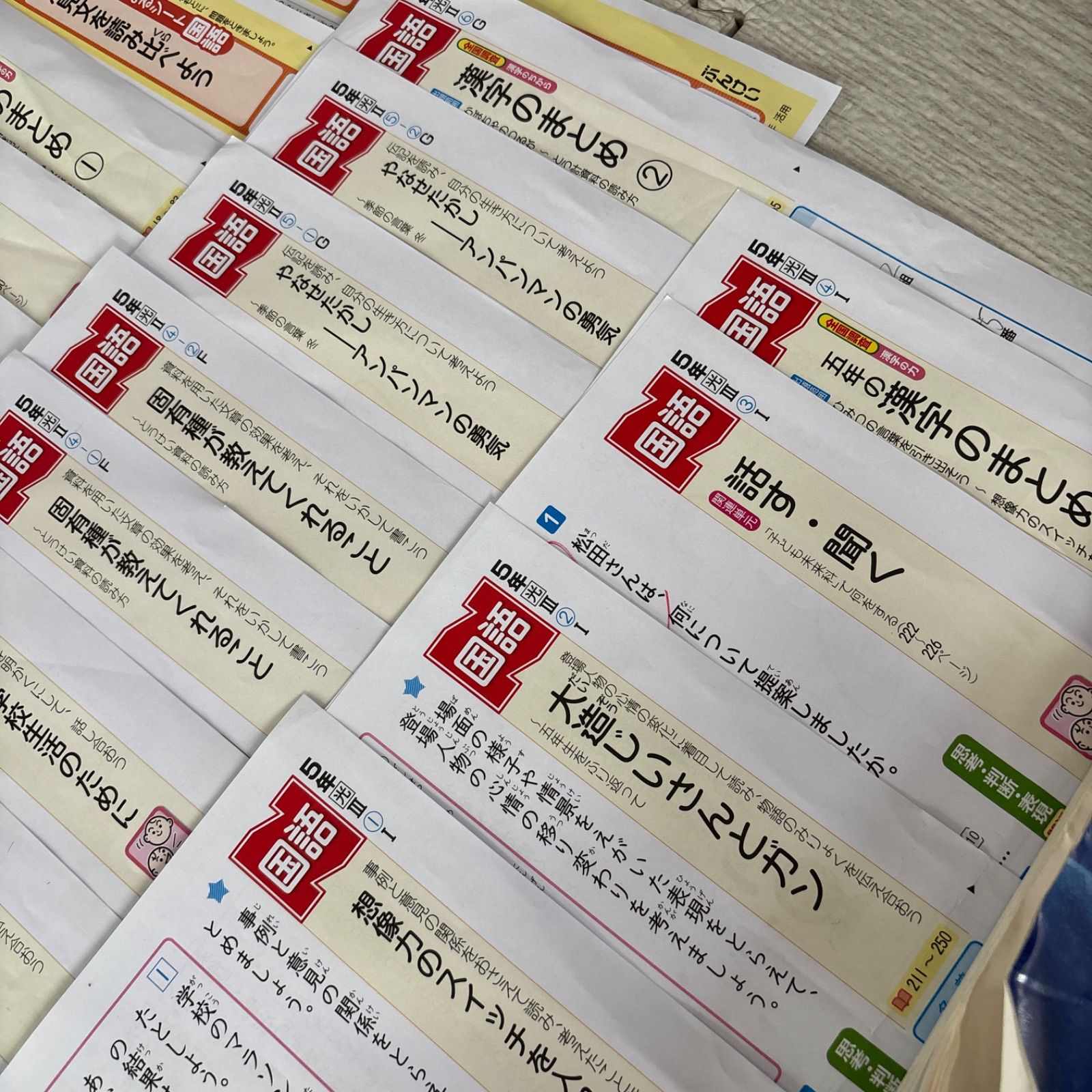 国語 テスト 5年 令和7年最新版 5年 国語 カラーテスト原本
