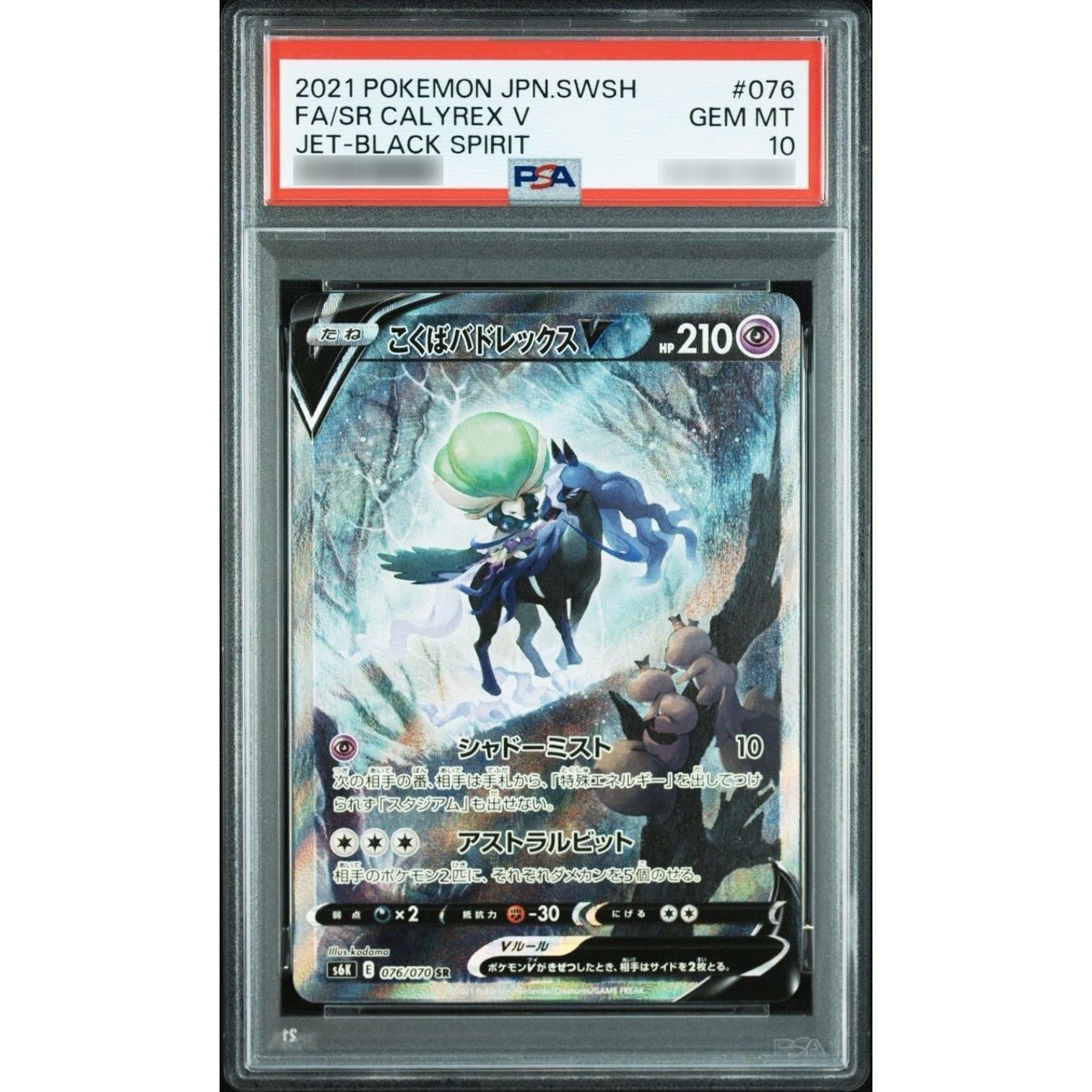 こくばバドレックスV PSA10 鑑定品 PSA10鑑定済〕こくばバドレックスV(SA)【SR】{076/070} - メルカリ