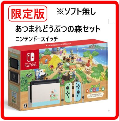 switch 本体 どうぶつの森セット　ダウンロードソフト無し初期化済み ソフト無し】 限定版 ニンテンドースイッチ あつまれどうぶつの森