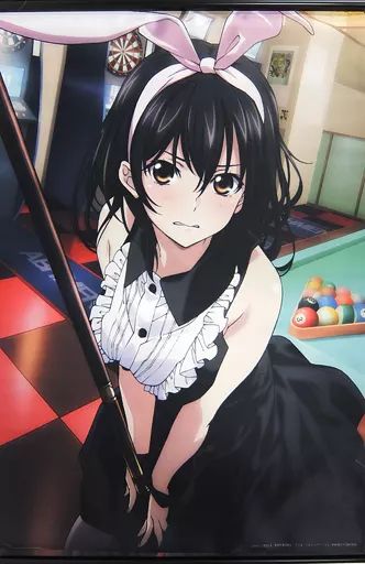 中古】タペストリー 姫柊雪菜 めくれるタペストリー 中古】タペストリー 姫柊雪菜 めくれるタペストリー