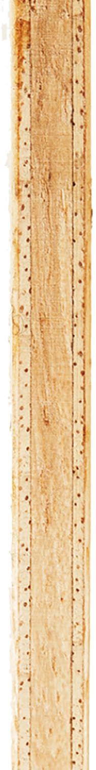  新着商品 ニッタク Nittaku 卓球 シェークラケット アコースティックG-REVISION ST NE6201 シェークハンドラケット ラケット 卓球