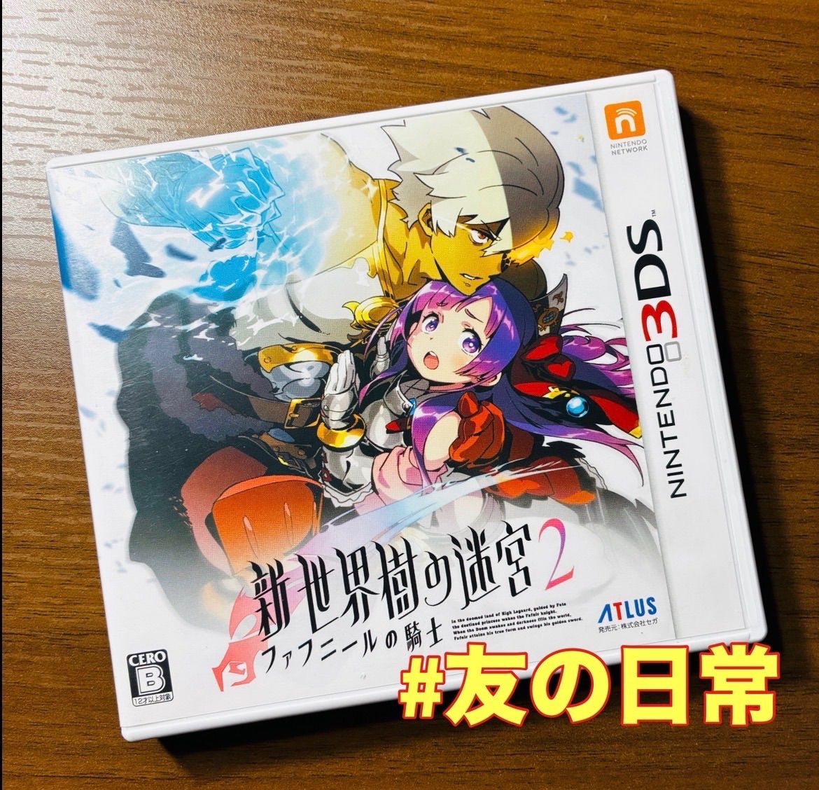 新・世界樹の迷宮2 ファフニールの騎士 3DS 80-17 - メルカリ