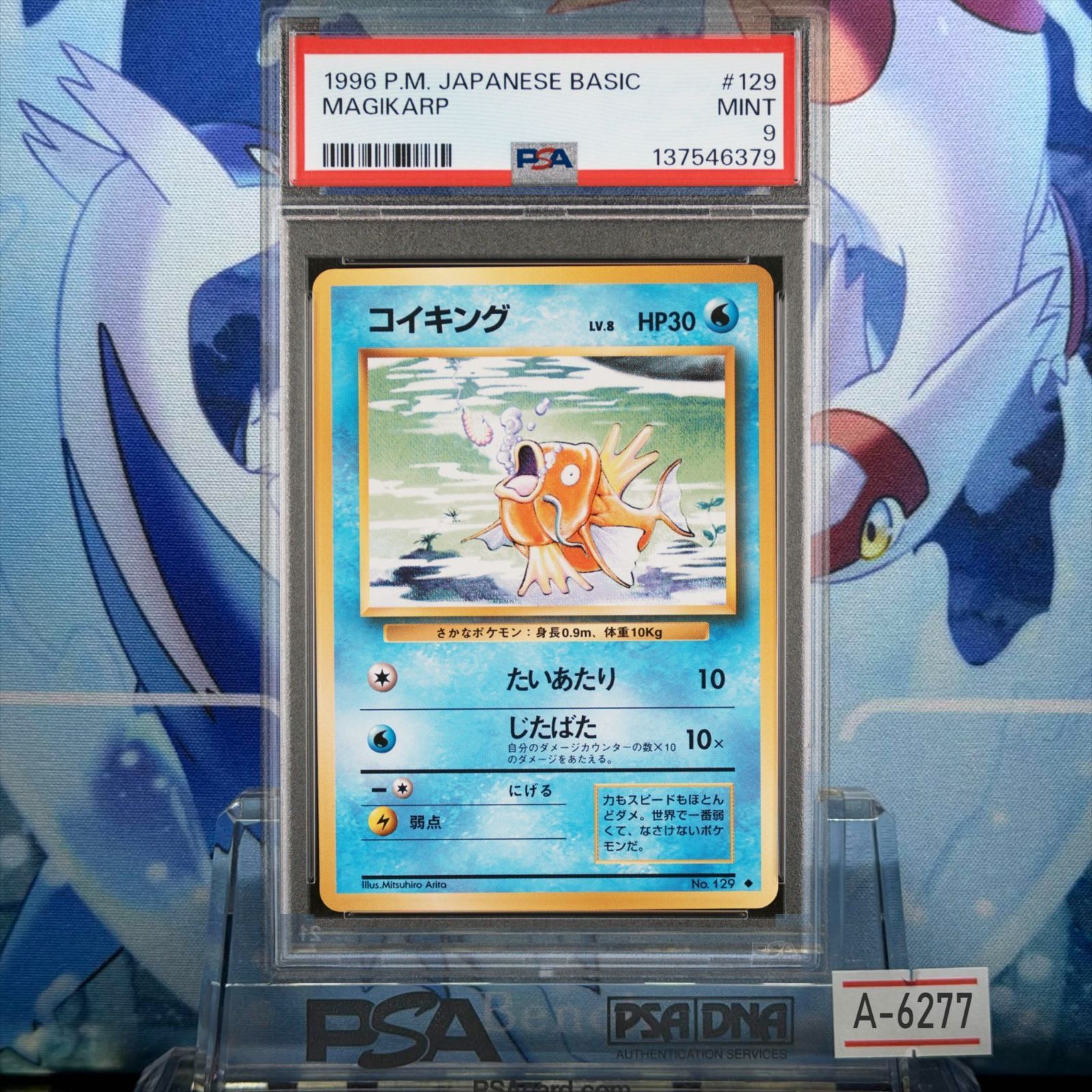 コイキング 初版　旧裏　#129 PSA8 コイキング 初版 旧裏 マークなし ポケモンカード｜Yahoo!フリマ（旧