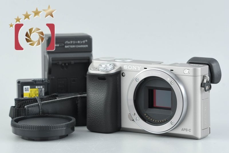 英語他多言語対応OK SONY α6000 silver ILCE-6000 α（ソニー） ソニー SONY α6000 ILCE-6000 ダブルレンズセット